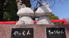 箭弓稲荷神社の狛犬