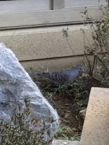 源長寺(東京都)