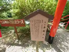 出雲大神宮の歴史