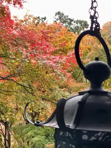談山神社の自然