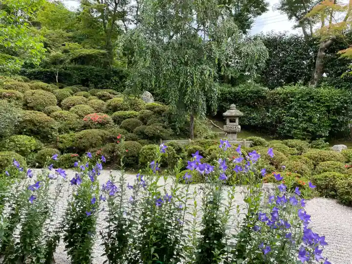 金福寺(京都府)