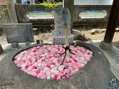 三輪神社(愛知県)