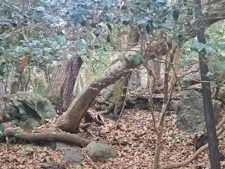 出雲大神宮(京都府)