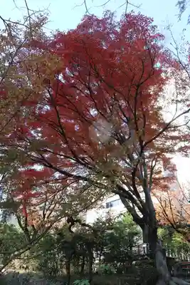 乃木神社(東京都)