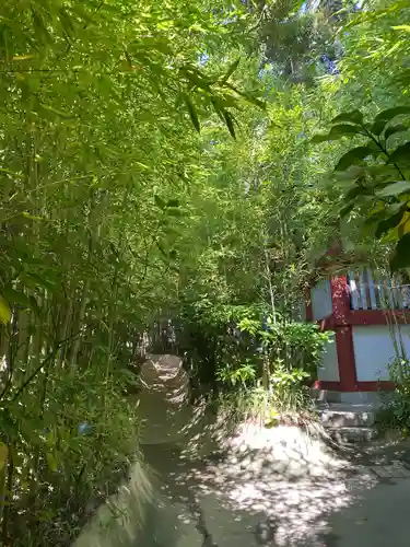 來宮神社(静岡県)