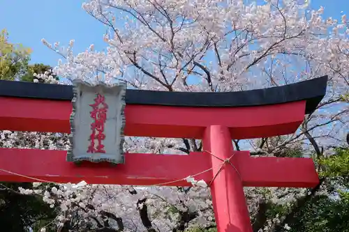 大稲荷神社の鳥居