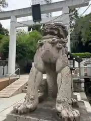 乃木神社の狛犬