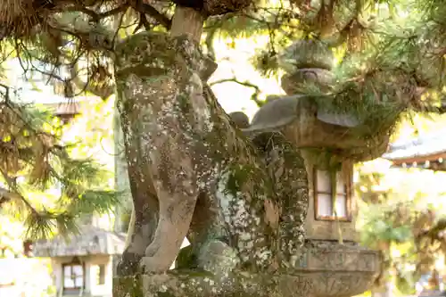 御霊神社（上御霊神社）(京都府)