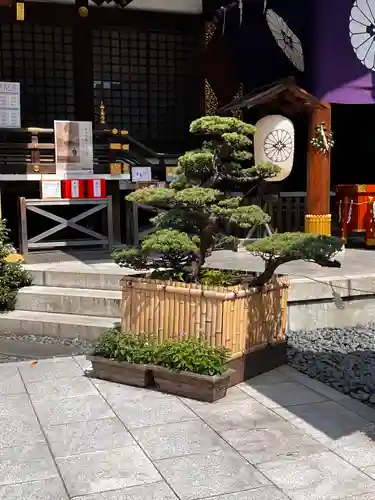 東京大神宮(東京都)