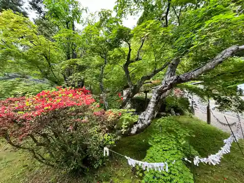 大原野神社(京都府)