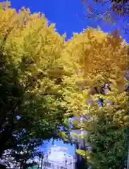 鳩森八幡神社(東京都)