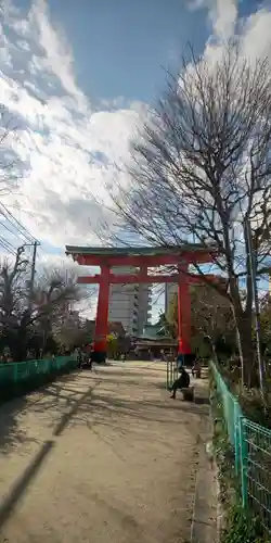 尼崎えびす神社の鳥居