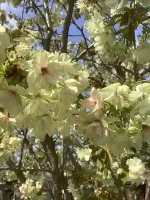 遍照院(愛知県)