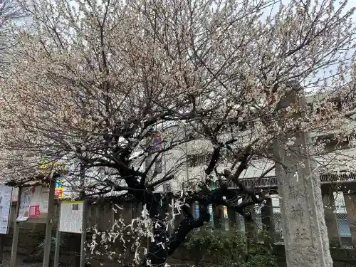 氷川鍬神社の{uncategorized: "未分類", other: "その他", undefined: "問題あり", building: "その他建物", grave: "お墓", sacred_gate: "鳥居", guardian: "狛犬", statue: "像", buddha: "仏像", history: "歴史", nature: "自然", garden: "庭園", animal: "動物", pagoda: "塔", temizu: "手水舎", mountain_gate: "山門・神門", sanctuary: "本殿・本堂", subordinate: "末社・摂社", art: "芸術", scenery: "景色", jizo: "地蔵", ema: "絵馬", goshuin: "御朱印", omikuji: "おみくじ", items: "授与品その他", amulet: "お守り", goshuincho: "御朱印帳", eats: "食事", festival: "お祭り", votive_dance: "神楽", shichigosan: "七五三参", wedding: "結婚式", experience: "体験その他", initially: "初詣", around: "周辺", anti_infection: "感染症対策"}