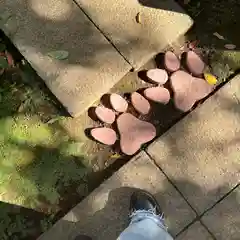 くまくま神社(導きの社 熊野町熊野神社)(東京都)