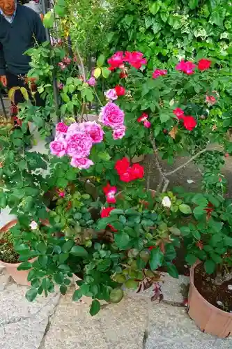 おふさ観音（観音寺）の庭園