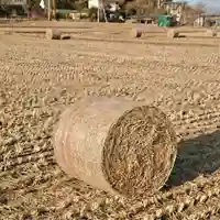 大國魂神社の体験その他