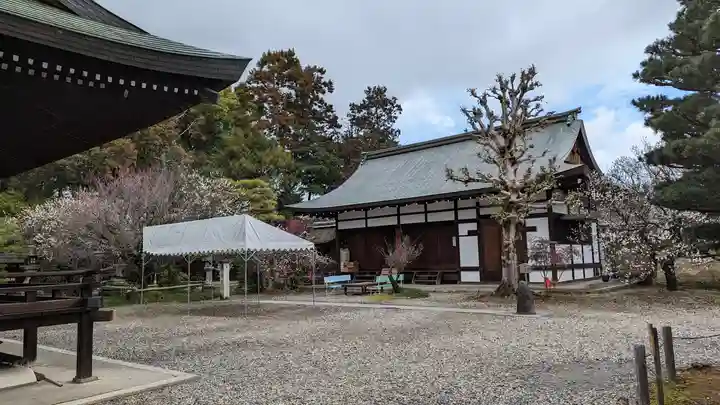 梅宮大社(京都府)