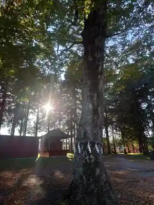 愛宕神社(埼玉県)