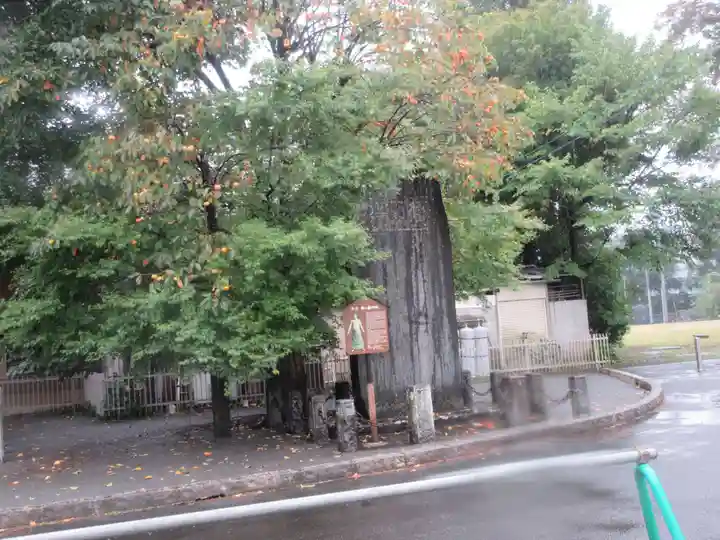 櫻岡大神宮の歴史