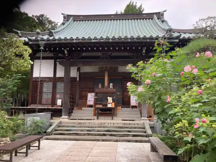 海蔵院(神奈川県)