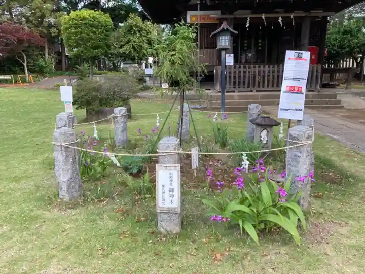 尉殿神社のその他建物