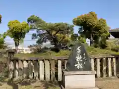 住吉神社の建物その他