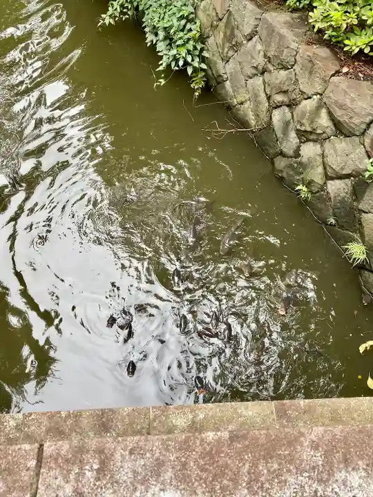 宮山神社(神奈川県)