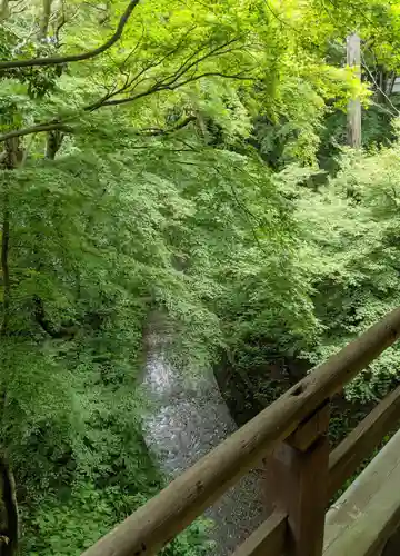 東福禅寺（東福寺）(京都府)