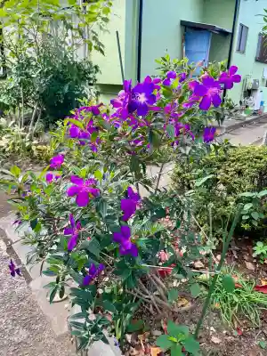 正覚院(東京都)