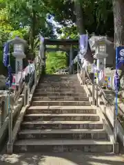 雪ケ谷八幡神社の鳥居