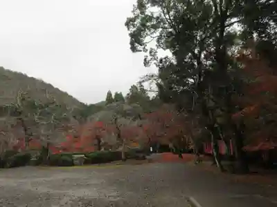 醍醐寺(上醍醐)(京都府)