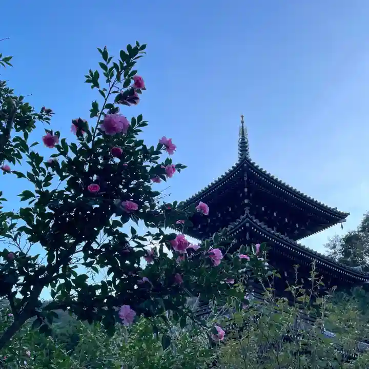 浄発願寺(神奈川県)