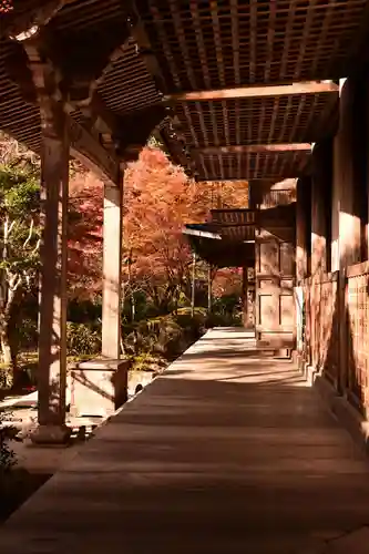 西明寺(京都府)