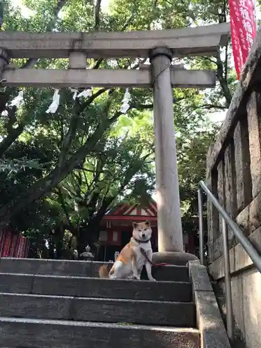 笠䅣稲荷神社の鳥居