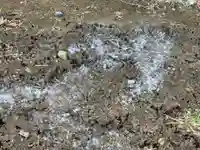 神木天満宮の自然