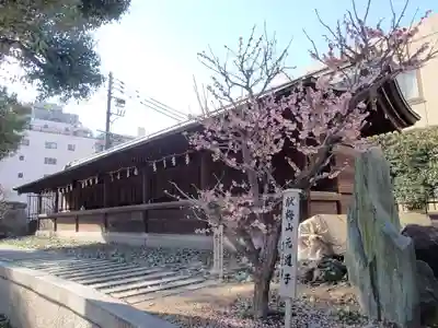 大阪天満宮の本殿・本堂