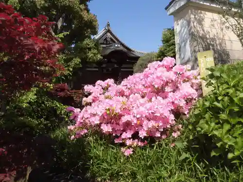 総持寺の庭園