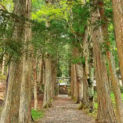 浪合神社(長野県)