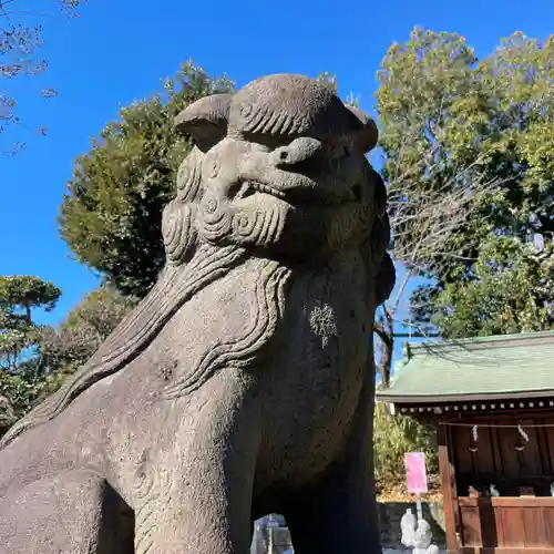 赤羽八幡神社の狛犬