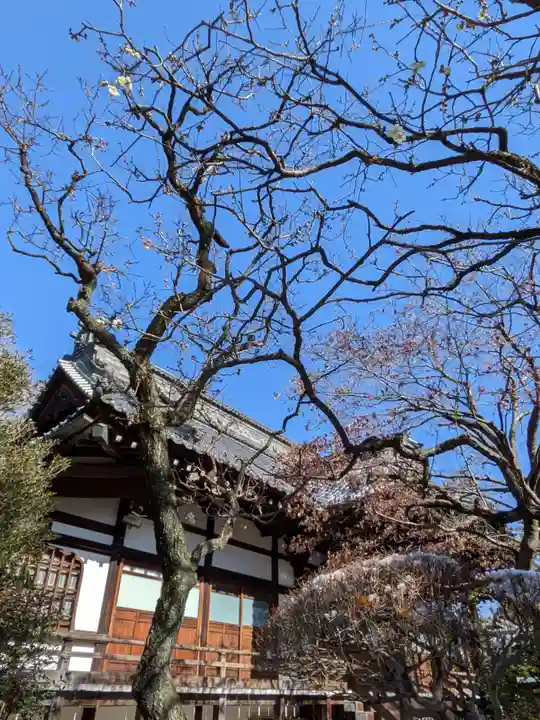 高円寺(東京都)