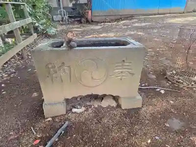 青砥杉山神社(神奈川県)