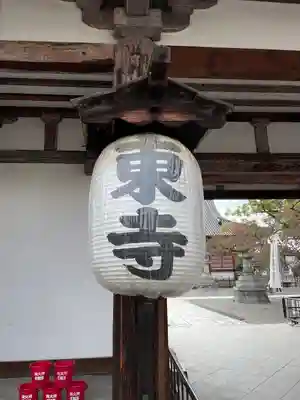 東寺（教王護国寺）(京都府)