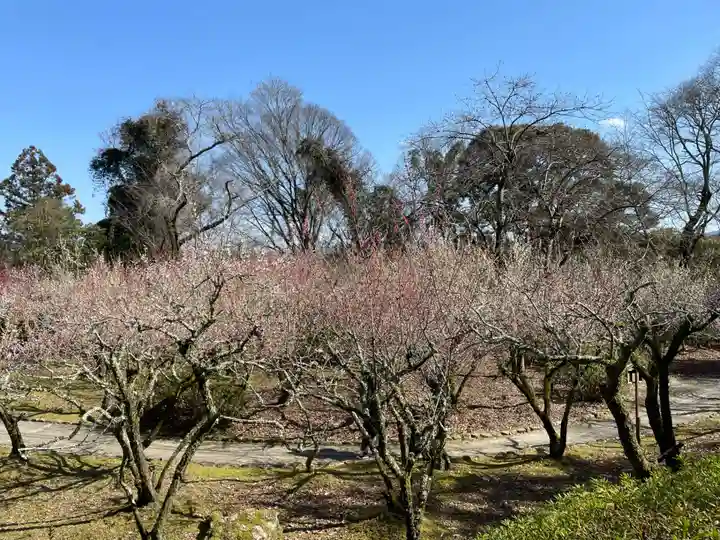 石山寺(滋賀県)