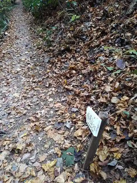 高尾山薬王院の周辺