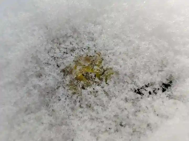 関場神社(福島県)