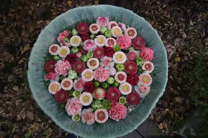 行田八幡神社(埼玉県)