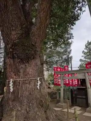 諏訪神社(東京都)
