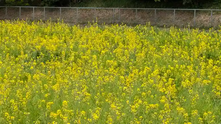 應神天皇惠我藻伏崗陵(誉田御廟山古墳)(大阪府)