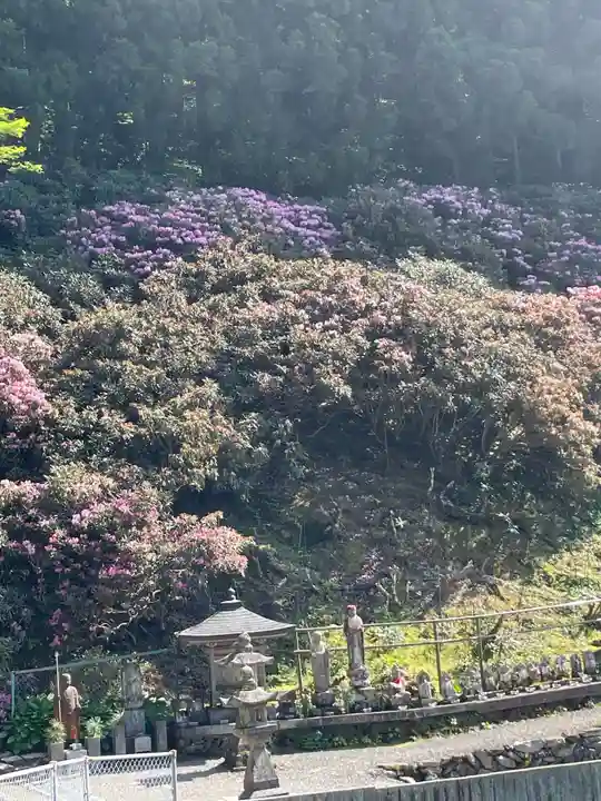 横峰寺(愛媛県)